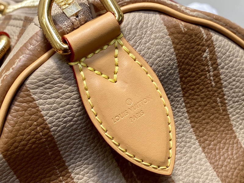 LV Speedy Bags